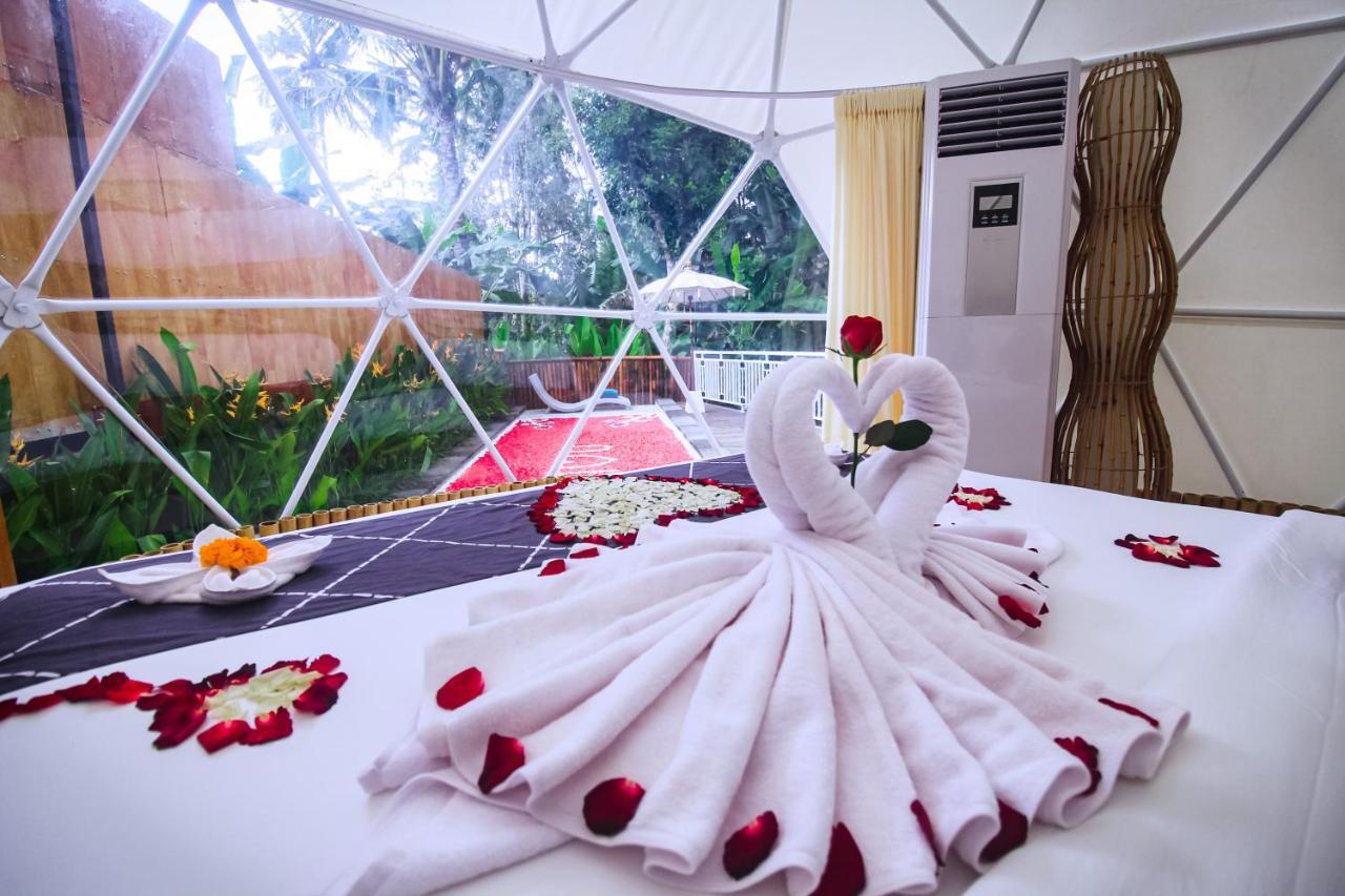 Luxury tent Triyana And Glamping