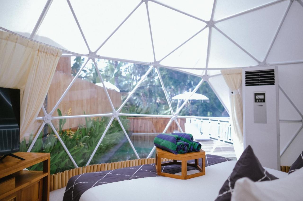 Triyana And Glamping