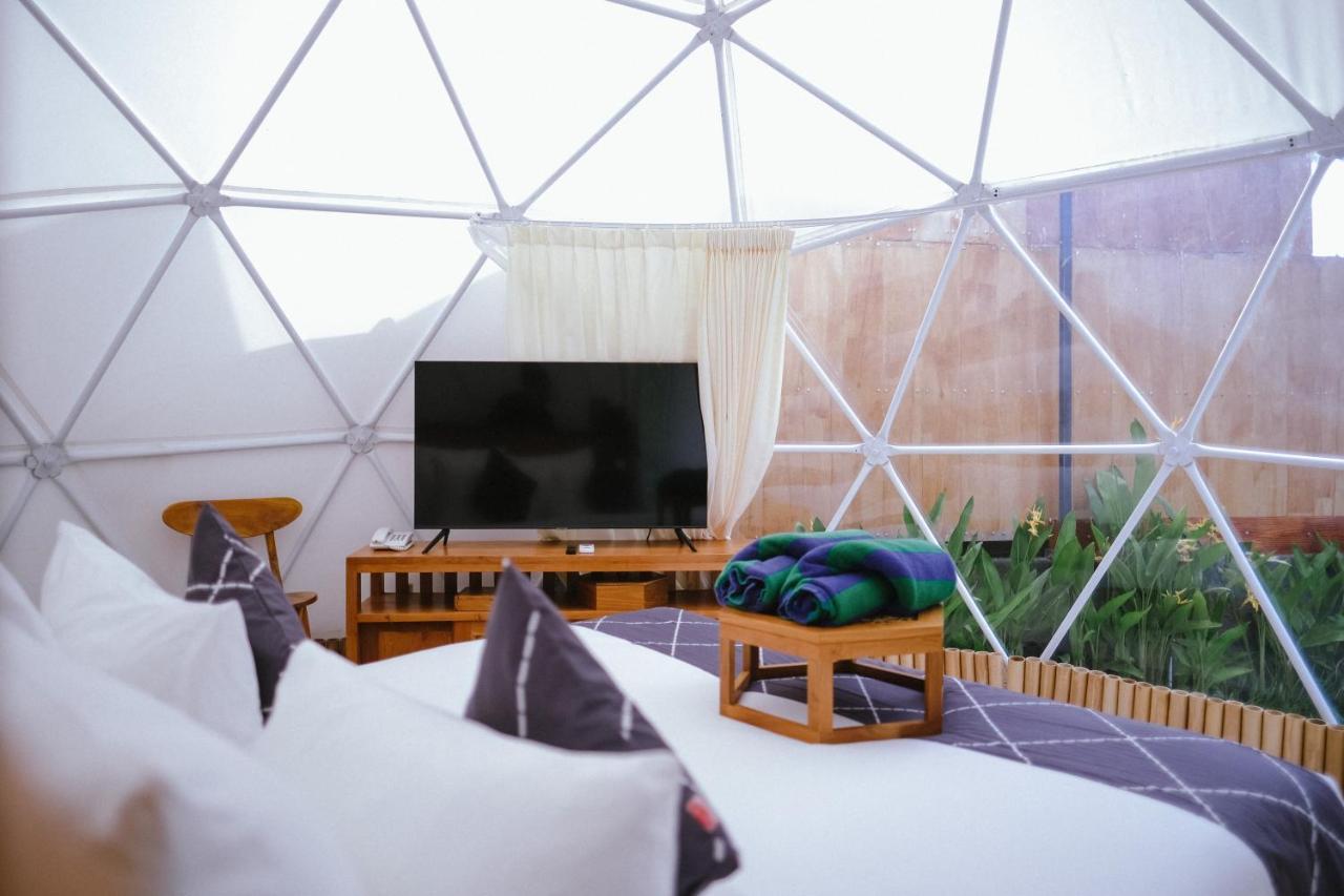 Luxury tent Triyana And Glamping