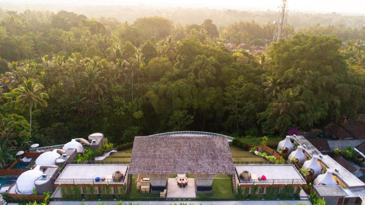 Luxury tent Triyana And Glamping *