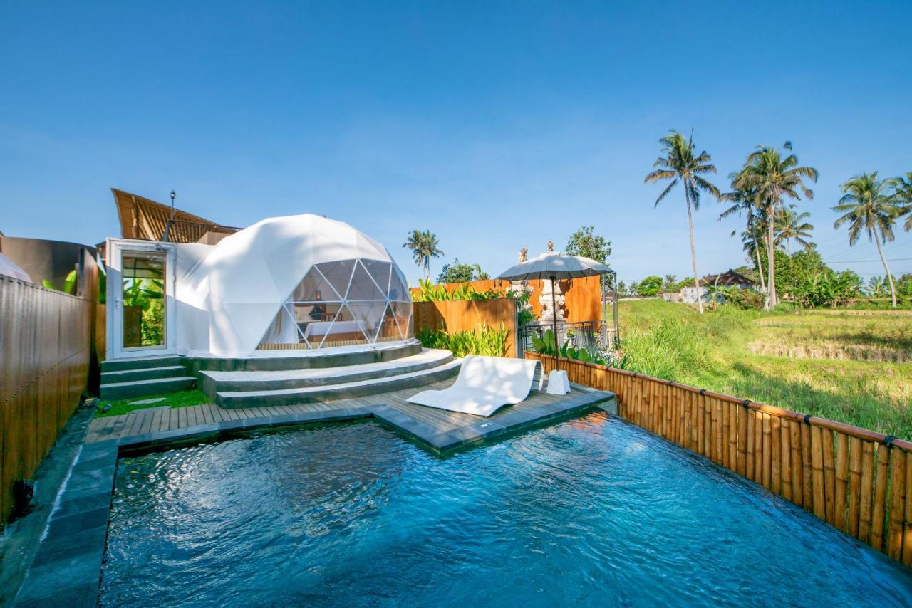 Triyana And Glamping Luxury tent