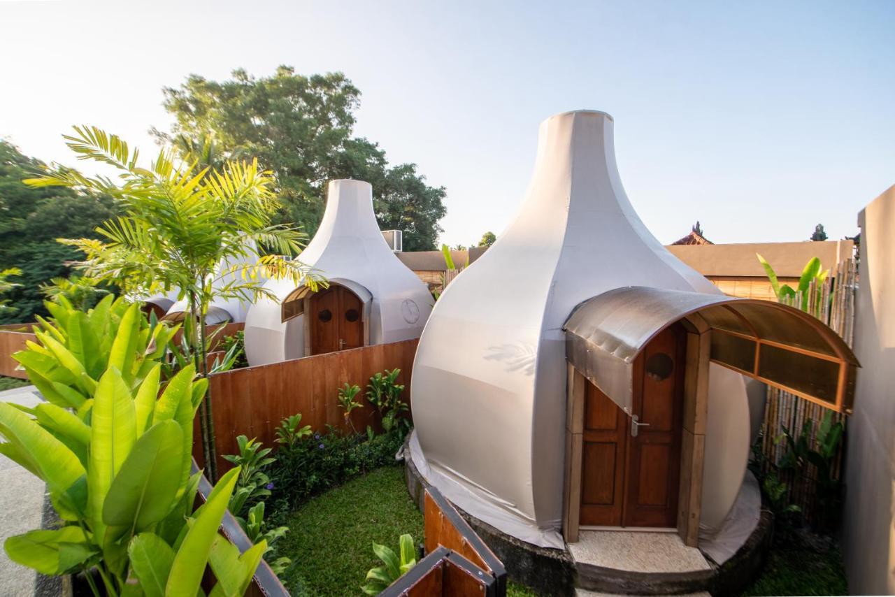 Triyana And Glamping *